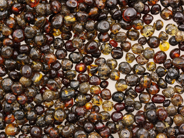 Cherry and Dark Baltic Amber