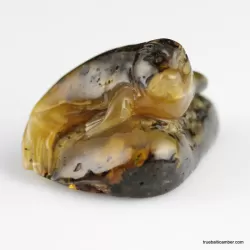 Carved Genuine BALTIC AMBER - Seal