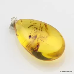 Honey Baltic amber DROP pendant