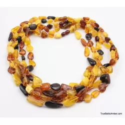 5 Multi Large BEANS Baltic amber adult wholesale necklaces