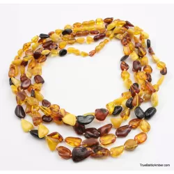 5 Multi Large BEANS Baltic amber adult wholesale necklaces