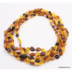 5 Multi Large BEANS Baltic amber adult wholesale necklaces