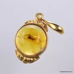 Gold Plated Baltic amber pendant with insect inclusion