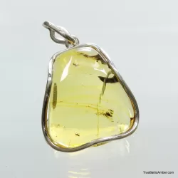 Large amulet Baltic amber silver pendant with insect inclusion 16g