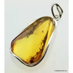 Large amulet Baltic amber silver pendant w insect inclusion 14g