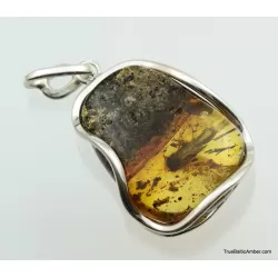 Large amulet Baltic amber silver pendant w insect inclusion 12g