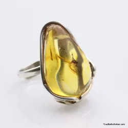 Baltic amber silver ring w insect inclusion