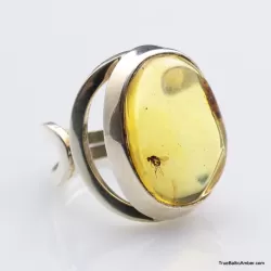 Baltic amber silver ring w insect inclusion