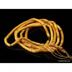 5 CYLINDER Islamic 33 Baltic amber prayer ANTIQUE beads