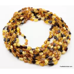 10 Multi BEANS Baltic amber adult wholesale necklaces 21in