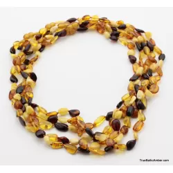 5 Multi BEANS Baltic amber adult wholesale necklaces 21in