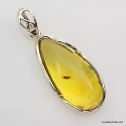 Baltic amber silver pendant w insect inclusion 10g