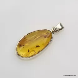 Baltic amber silver pendant w insect inclusion 5g