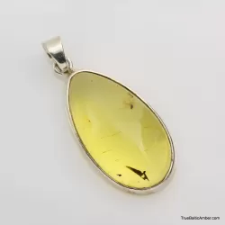 Baltic amber silver pendant w insect inclusion 8g