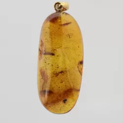 Baltic amber silver pendant w insect inclusion