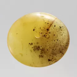 Large Donut shape Baltic amber pendant medallion