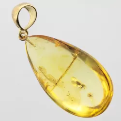 Drop Baltic amber pendulum pendant w insect inclusion