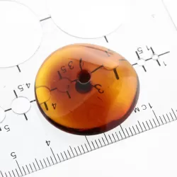 Donut shape Baltic amber pendant medallion