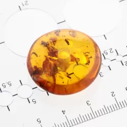 Donut shape Baltic amber pendant medallion