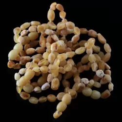 10 Raw Butter BEANS Baltic amber teething Baby bracelets 14cm