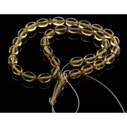 Islamic 33 Baltic amber Prayer OLIVE beads