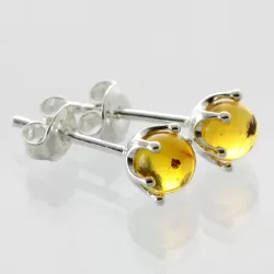 Fossil Studs Baltic amber Silver Earrings