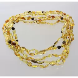 5 Mix BEANS Baltic amber adult necklaces 55cm