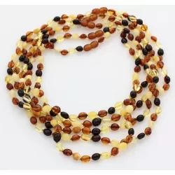 5 Muti BEANS Baltic amber adult necklaces 48cm