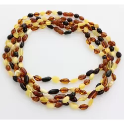 5 Multi BEANS Baltic amber adult necklaces 48cm