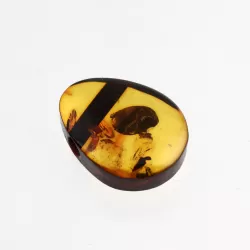 Natural Baltic Amber Hole Pendant 1.3g