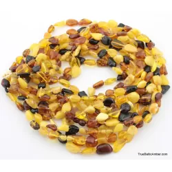 10 Multi larger BEANS Baltic amber adult wholesale necklaces