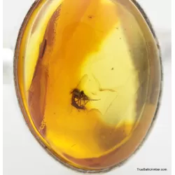 Baltic amber silver ring w fossil insect inclusion