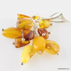 Grape bunch Baltic amber dangle pendant