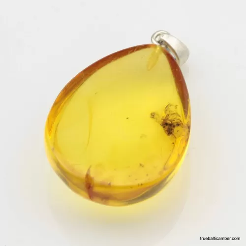 Honey Baltic amber half DROP pendant