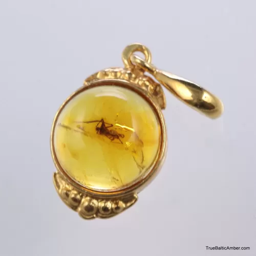 Jewelry With Insects Gold Plated Baltic amber pendant with insect inclusion