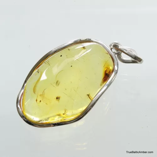 Large amulet Baltic amber silver pendant with insect inclusion 16g