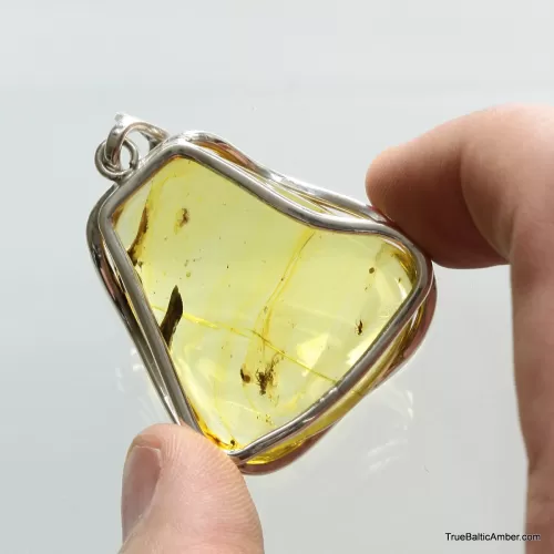 Large amulet Baltic amber silver pendant with insect inclusion 16g