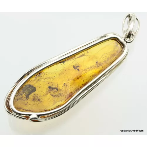 Large amulet Baltic amber silver pendant w insect inclusion 14g