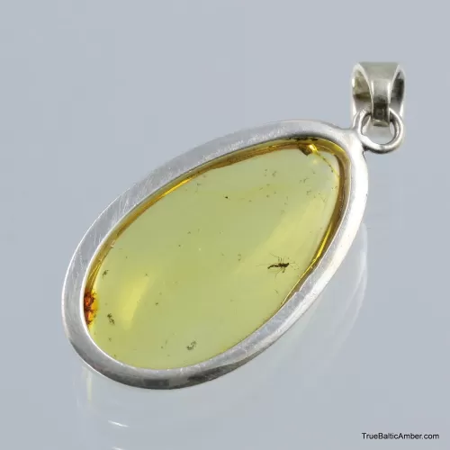 Baltic amber silver pendant w insect inclusion 7g