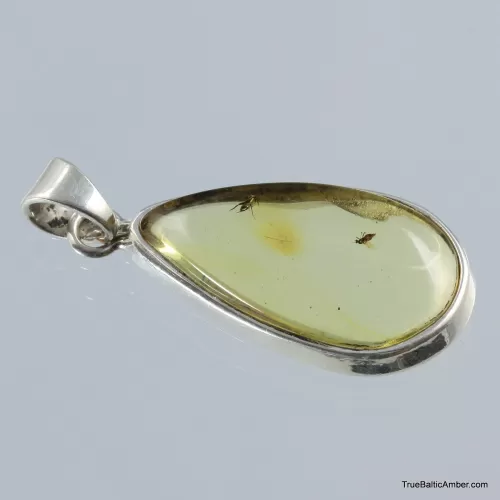 Baltic amber silver pendant w insect inclusion 5g