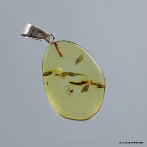 Baltic amber CARVED pendant