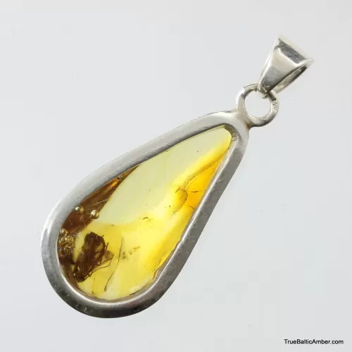 Baltic amber silver pendant w insect inclusion 4g