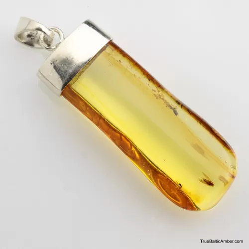 Baltic amber silver pendant w insect inclusion 8g