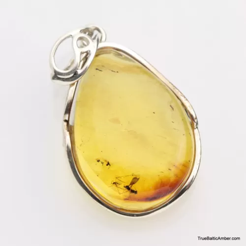 Baltic amber silver pendant w insect inclusion 7g