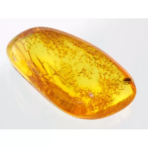 Insect inclusions in Baltic amber fossil stone