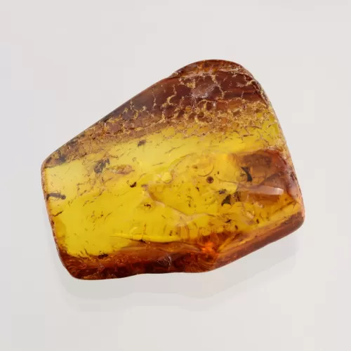 Swarm Insect inclusions in Baltic amber fossil stone