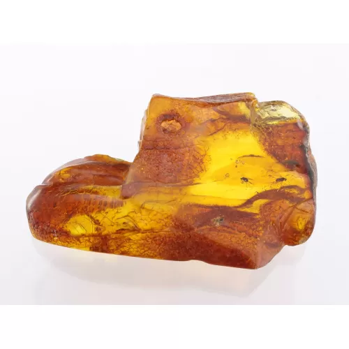 Insect inclusions in Baltic amber fossil large stone