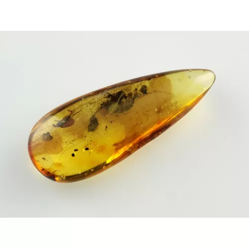 Fly Insect inclusions in Baltic amber fossil stone