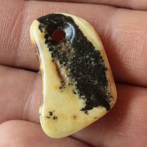 Baltic Amber Medallion pendant with hole