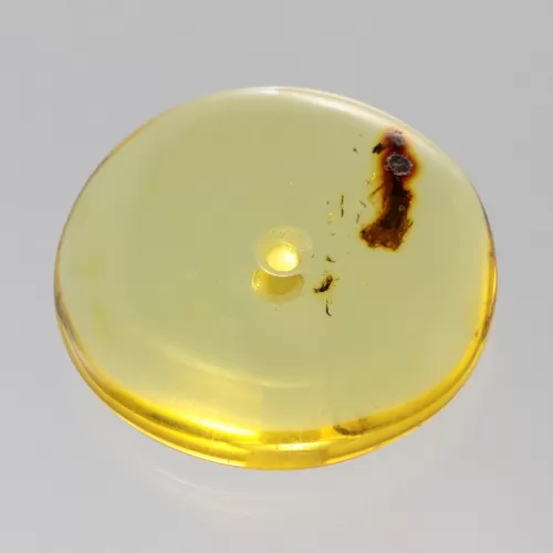 Large Donut shape Baltic amber pendant medallion